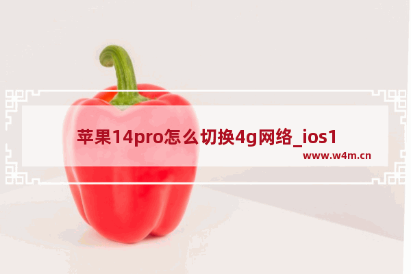 苹果14pro怎么切换4g网络_ios16怎么切换4g网络