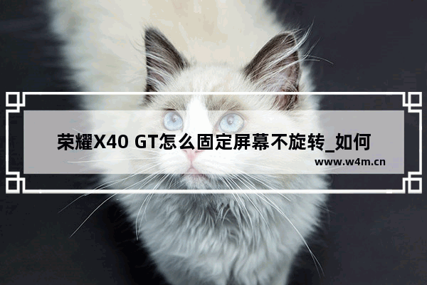 荣耀X40 GT怎么固定屏幕不旋转_如何固定屏幕不旋转