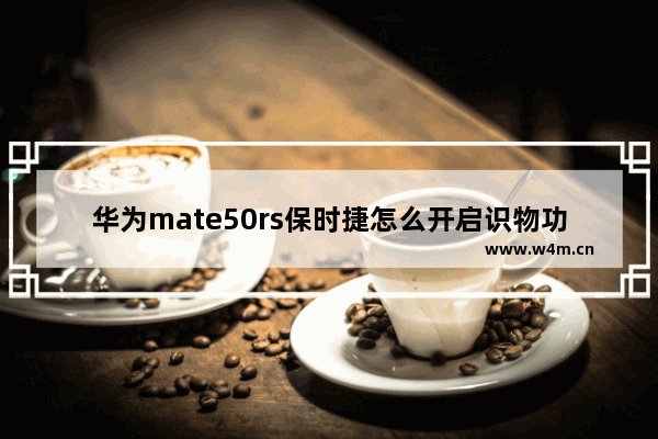 华为mate50rs保时捷怎么开启识物功能_华为识物功能怎么开启