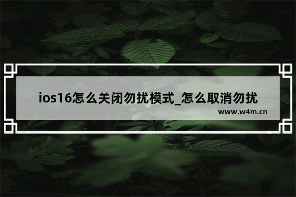 ios16怎么关闭勿扰模式_怎么取消勿扰模式