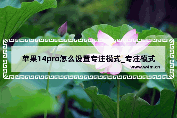 苹果14pro怎么设置专注模式_专注模式怎么开启