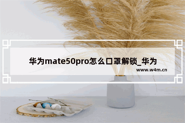 华为mate50pro怎么口罩解锁_华为mate50pro如何口罩解锁