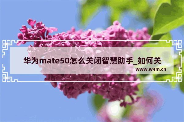 华为mate50怎么关闭智慧助手_如何关闭智慧助手