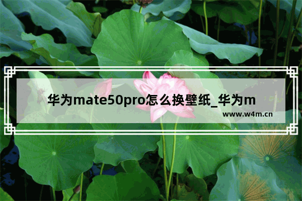 华为mate50pro怎么换壁纸_华为mate50pro如何换壁纸