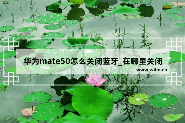 华为mate50怎么关闭蓝牙_在哪里关闭蓝牙