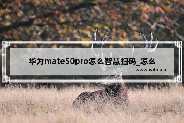 华为mate50pro怎么智慧扫码_怎么自动扫码