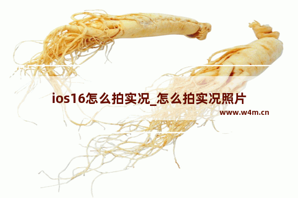 ios16怎么拍实况_怎么拍实况照片