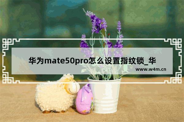 华为mate50pro怎么设置指纹锁_华为mate50pro如何设置指纹锁