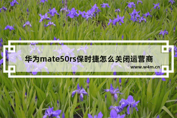 华为mate50rs保时捷怎么关闭运营商显示_华为mate50rs保时捷如何关闭运营商显示