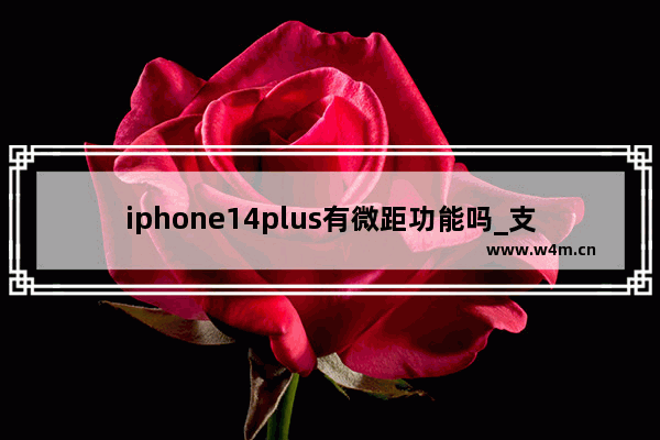 iphone14plus有微距功能吗_支持微距拍摄吗