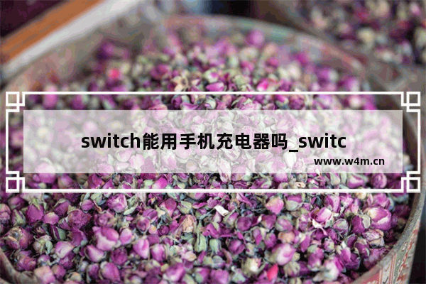 switch能用手机充电器吗_switch可以使用手机充电器充电吗