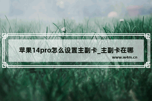 苹果14pro怎么设置主副卡_主副卡在哪设置