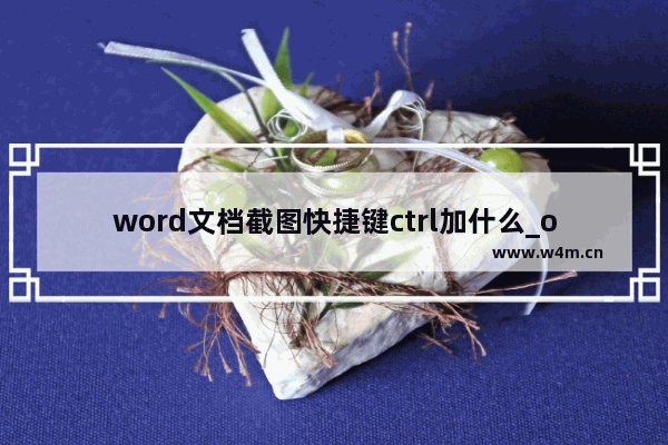 word文档截图快捷键ctrl加什么_office截图快捷键ctrl加什么