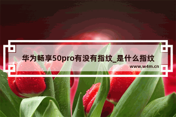 华为畅享50pro有没有指纹_是什么指纹