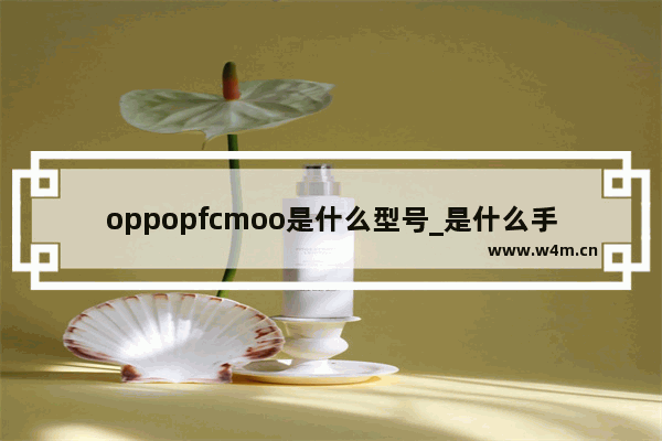 oppopfcmoo是什么型号_是什么手机型号