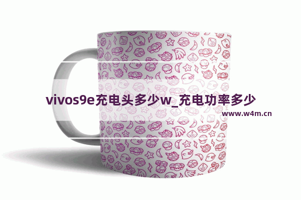 vivos9e充电头多少w_充电功率多少