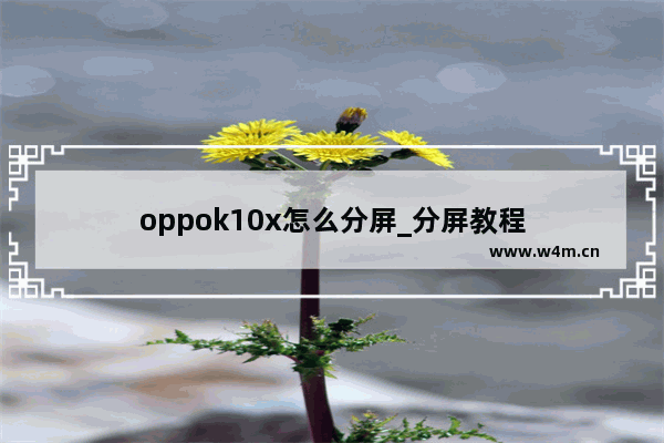 oppok10x怎么分屏_分屏教程