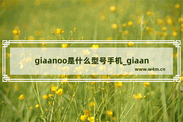 giaanoo是什么型号手机_giaanoo是荣耀什么手机