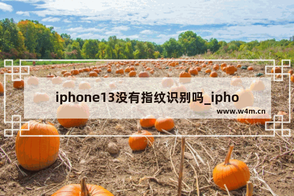 iphone13没有指纹识别吗_iphone 13有没有指纹识别