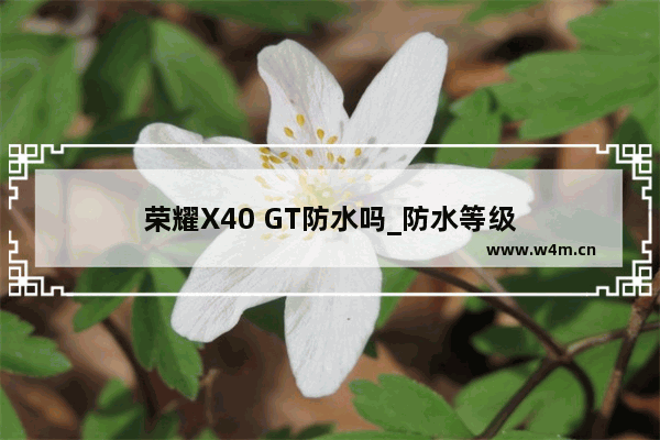 荣耀X40 GT防水吗_防水等级