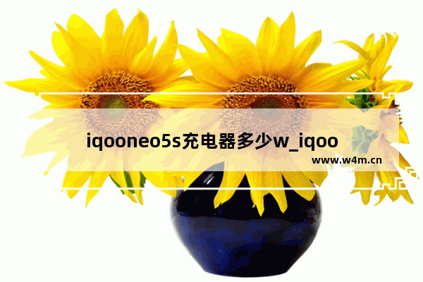 iqooneo5s充电器多少w_iqooneo5s充电器是多少瓦