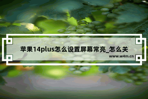 苹果14plus怎么设置屏幕常亮_怎么关闭自动锁定