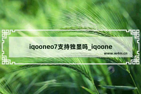 iqooneo7支持独显吗_iqooneo7独显芯片有什么用