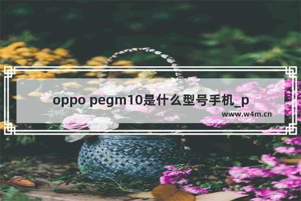 oppo pegm10是什么型号手机_pegm10是oppo什么手机