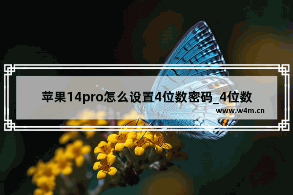 苹果14pro怎么设置4位数密码_4位数密码在哪设置