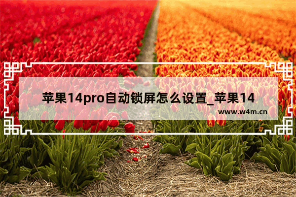 苹果14pro自动锁屏怎么设置_苹果14pro自动锁屏在哪设置