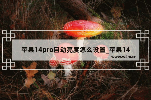 苹果14pro自动亮度怎么设置_苹果14pro怎么调节自动亮度