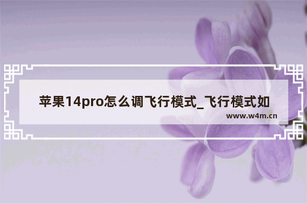 苹果14pro怎么调飞行模式_飞行模式如何设置