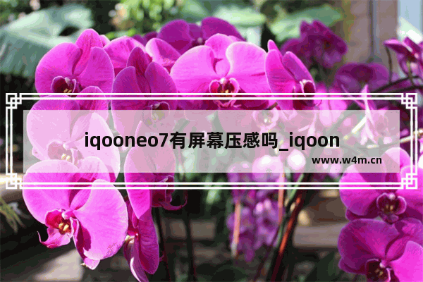 iqooneo7有屏幕压感吗_iqooneo7有没有屏幕压感