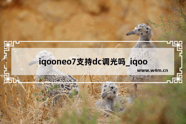 iqooneo7支持dc调光吗_iqooneo7有dc调光吗