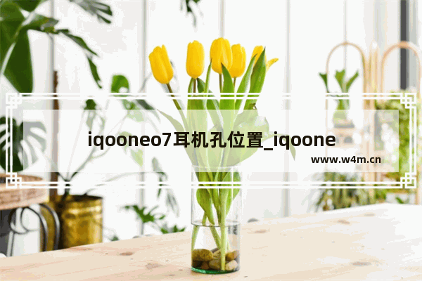 iqooneo7耳机孔位置_iqooneo7耳机孔在哪里