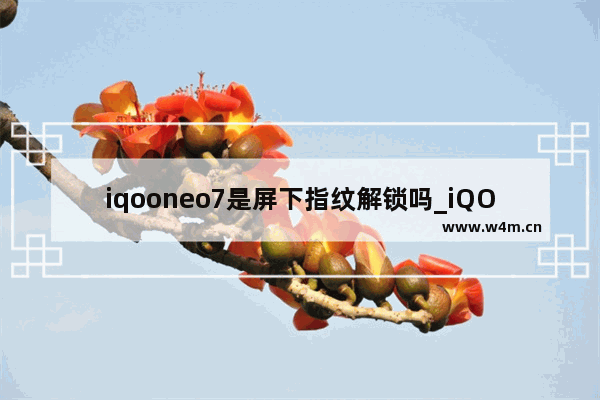 iqooneo7是屏下指纹解锁吗_iQOOneo7是屏幕指纹吗