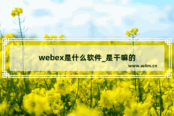 webex是什么软件_是干嘛的