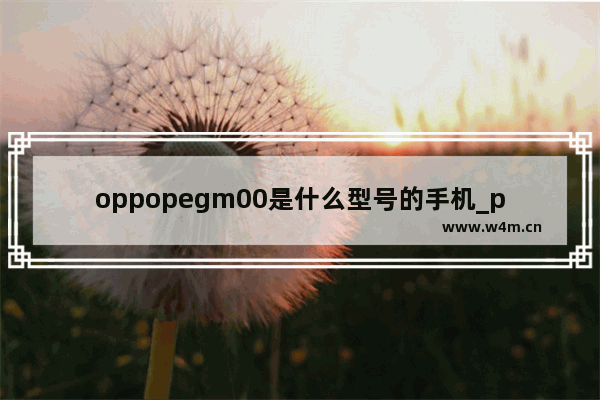 oppopegm00是什么型号的手机_pegm00是oppo什么手机