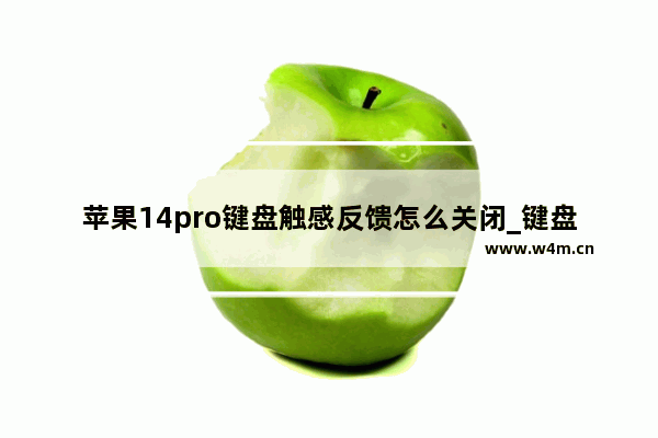 苹果14pro键盘触感反馈怎么关闭_键盘触感反馈在哪关