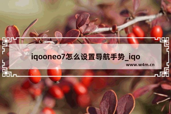 iqooneo7怎么设置导航手势_iqooneo7如何设置导航手势