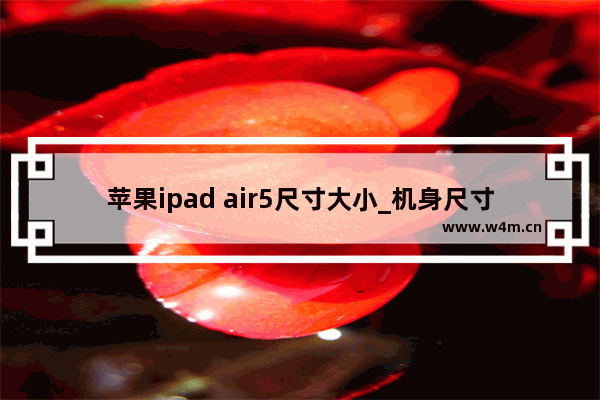 苹果ipad air5尺寸大小_机身尺寸