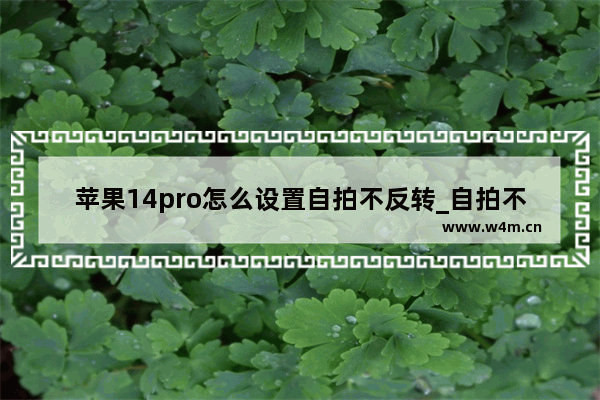 苹果14pro怎么设置自拍不反转_自拍不反在哪设置