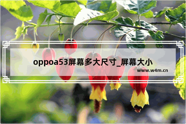 oppoa53屏幕多大尺寸_屏幕大小