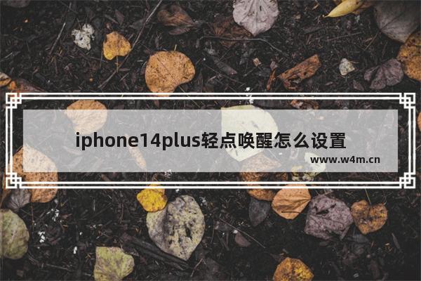 iphone14plus轻点唤醒怎么设置_轻点唤醒在哪