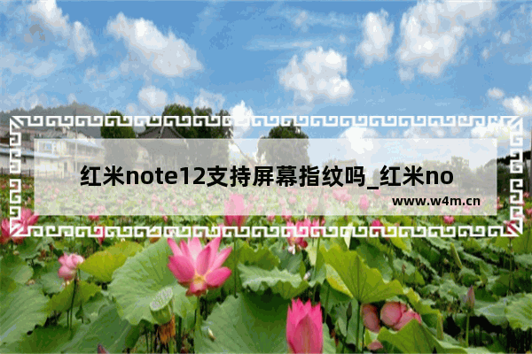 红米note12支持屏幕指纹吗_红米note12有屏幕指纹吗