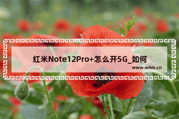 红米Note12Pro+怎么开5G_如何开5G