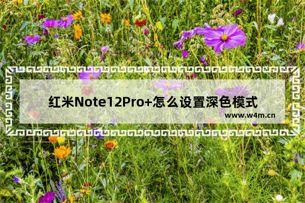 红米Note12Pro+怎么设置深色模式_如何设置深色模式