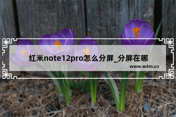 红米note12pro怎么分屏_分屏在哪里