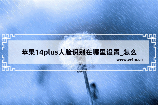 苹果14plus人脸识别在哪里设置_怎么设置人脸识别