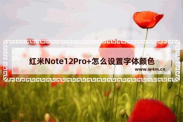 红米Note12Pro+怎么设置字体颜色_如何设置字体颜色